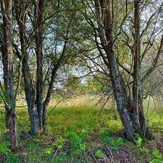 20 соток, участок - изображение 5