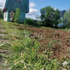 5 соток, участок - изображение 3