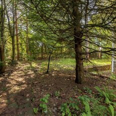 14,8 сотки, участок - изображение 5