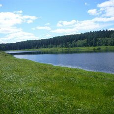 9,9 га, участок - изображение 2