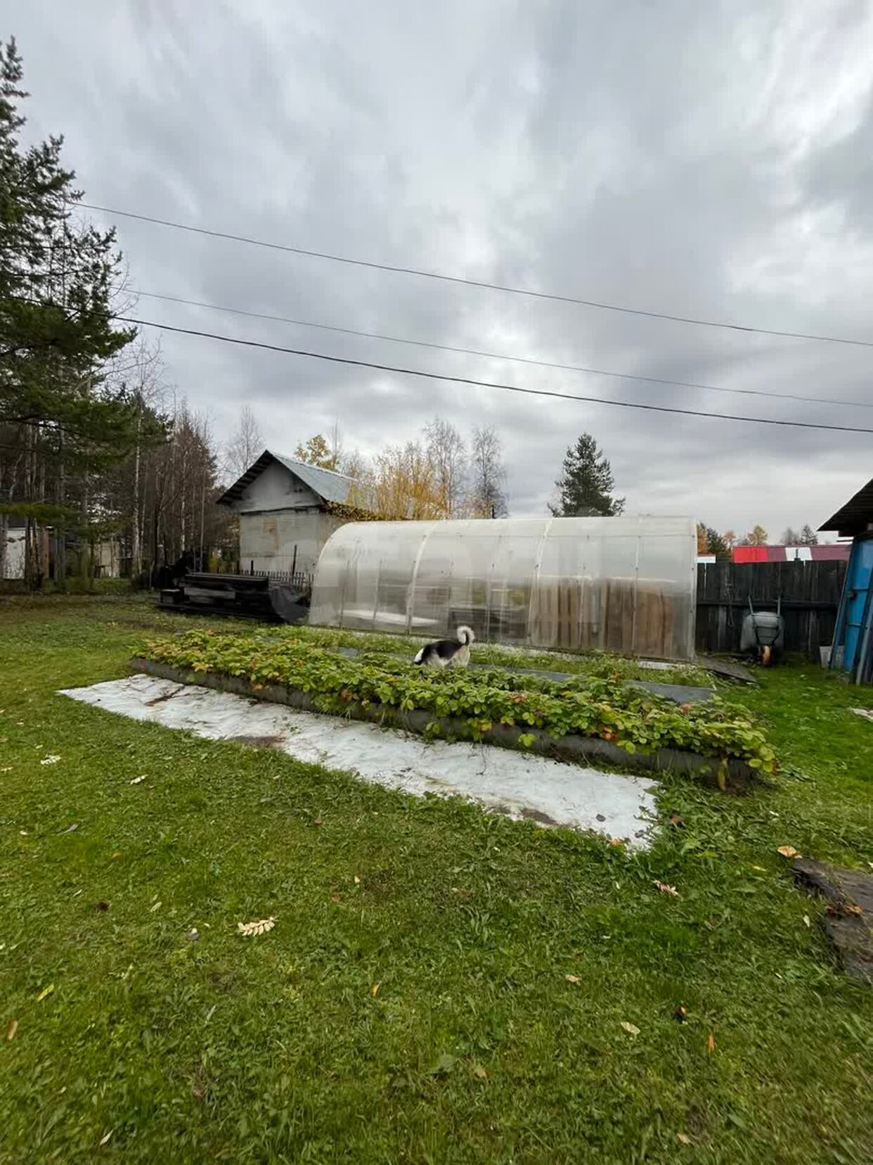 Дом 2-комн. 30 м² в СОТ Строитель — фото 14 из 18