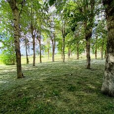 Квартира 36,9 м², 1-комнатная - изображение 1