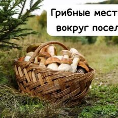 6,2 сотки, участок - изображение 4