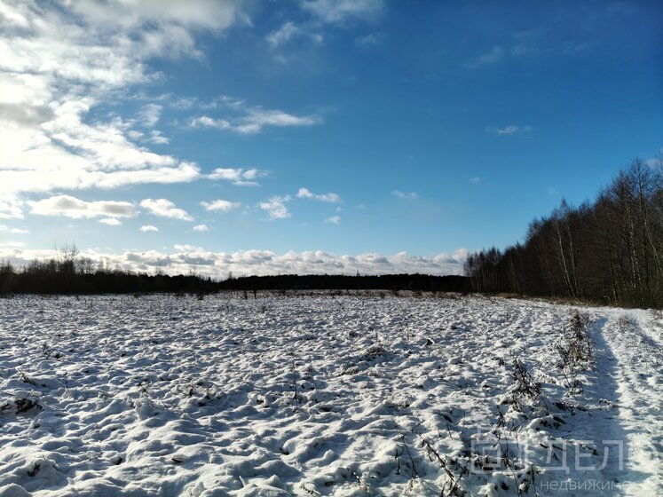 62,1 м², 2-комнатная квартира 33 141 020 ₽ - изображение 42