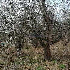 дом + 5 соток, участок - изображение 3
