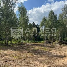 17 соток, участок - изображение 4