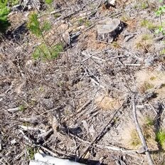 11,7 сотки, участок - изображение 2