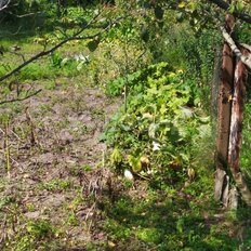 дом + 6 соток, участок - изображение 4