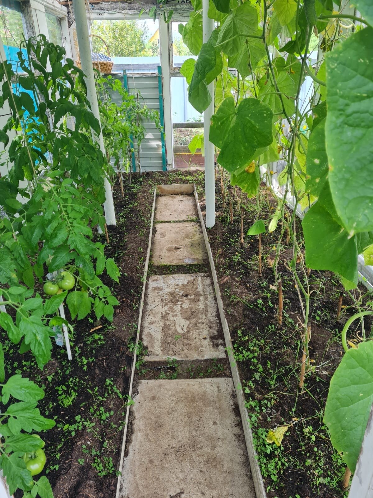 Дом 30 м² в ПСОК Победит-2 — фото 9 из 13