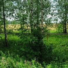 27 га, участок - изображение 4