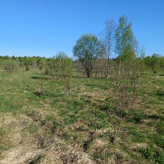 6,7 га, участок - изображение 2