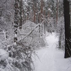 6,1 сотки, участок - изображение 4