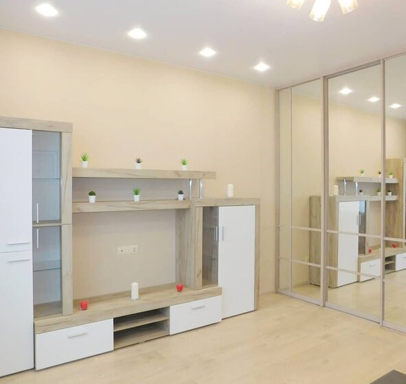 34 м², 1-комнатная квартира 3 950 000 ₽ - изображение 68