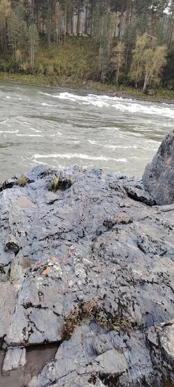 16 соток, участок 10 500 000 ₽ - изображение 28