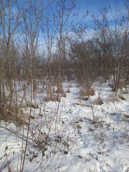 7,9 сотки, участок 25 000 000 ₽ - изображение 23