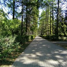 Квартира 33 м², 1-комнатная - изображение 2