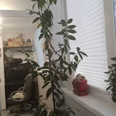 Квартира 60 м², 2-комнатная - изображение 1