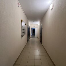 Квартира 33,1 м², 1-комнатная - изображение 1