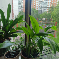 Квартира 60 м², 2-комнатная - изображение 1