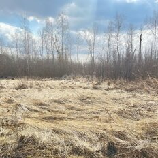 5,6 сотки, участок - изображение 3