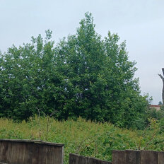 6 соток, участок - изображение 5