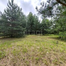 15 соток, участок - изображение 4