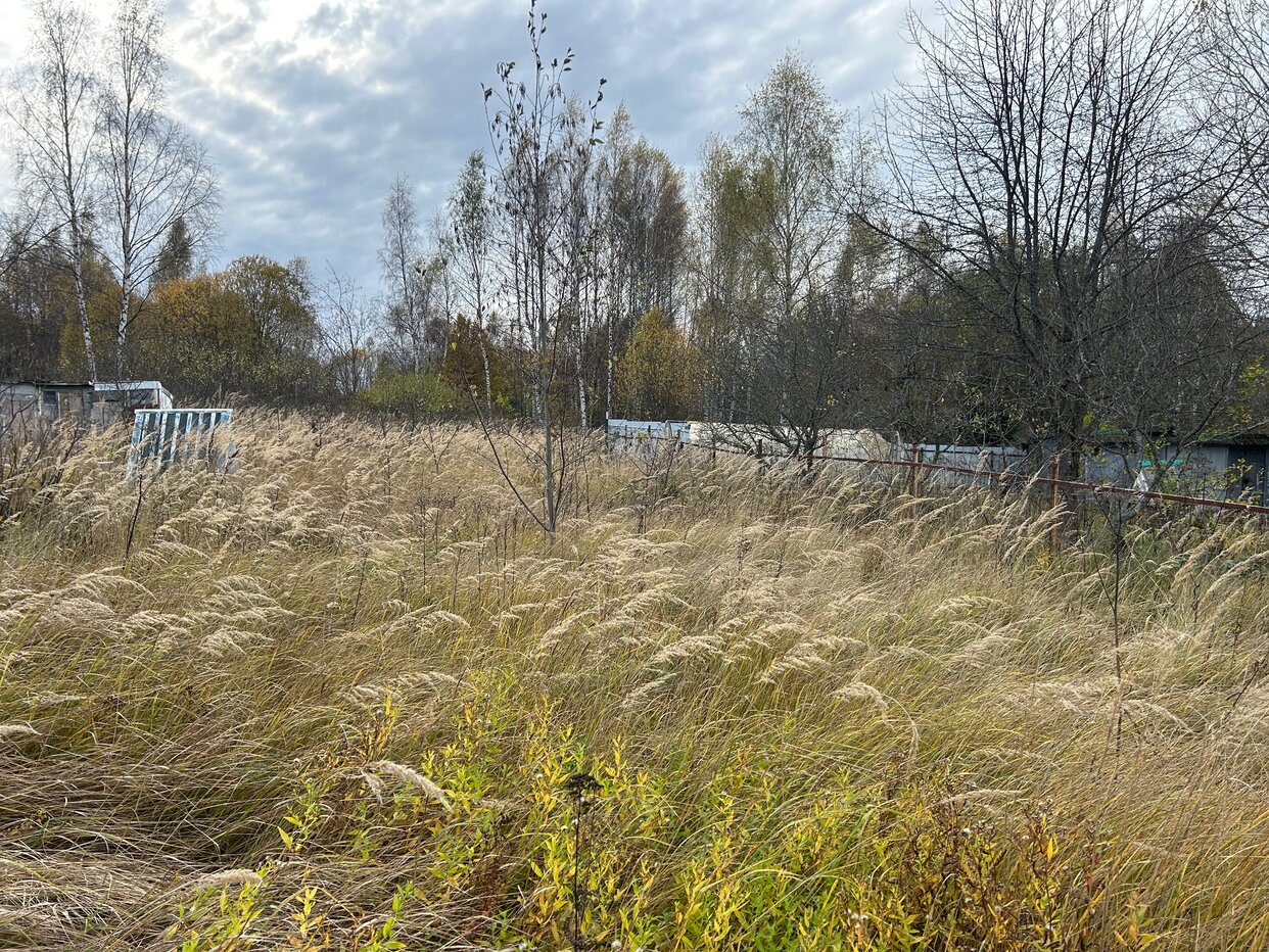 Дом 40 м² в СНТ Багримово — фото 10 из 23