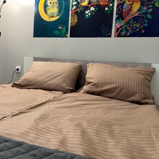 Квартира 29 м², студия - изображение 1