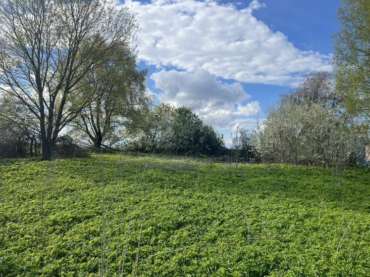 6,6 сотки, участок 957 000 ₽ - изображение 36