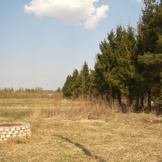 1 га, участок коммерческого назначения - изображение 2