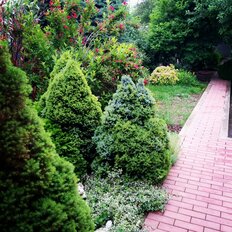 дом + 6 соток, участок - изображение 4