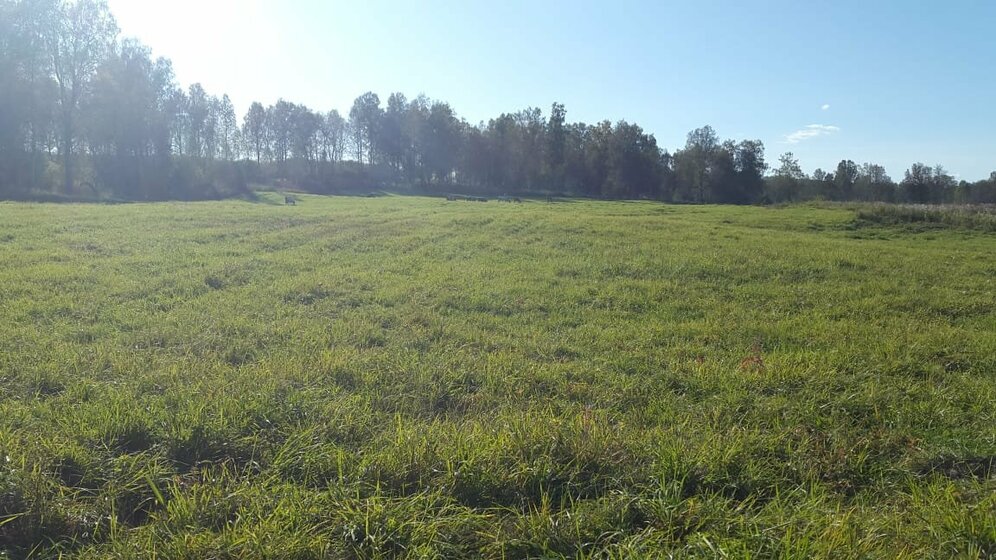 8,2 сотки, участок 3 000 000 ₽ - изображение 22