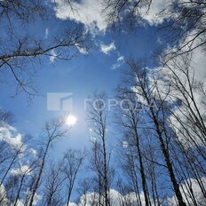 12 соток, участок - изображение 2