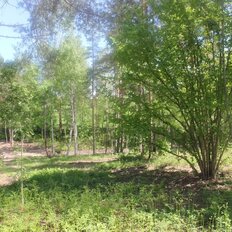 8,5 сотки, участок - изображение 3