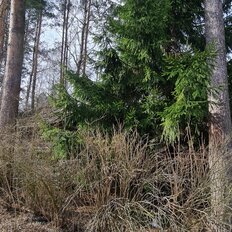 дуплекс + 11,3 сотки, участок - изображение 1