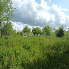 15 соток, участок - изображение 4