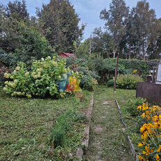 дом + 8 соток, участок - изображение 2