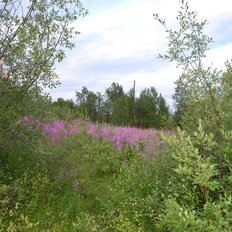 12 соток, участок - изображение 5