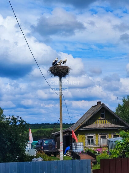 19 соток, участок 500 000 ₽ - изображение 29