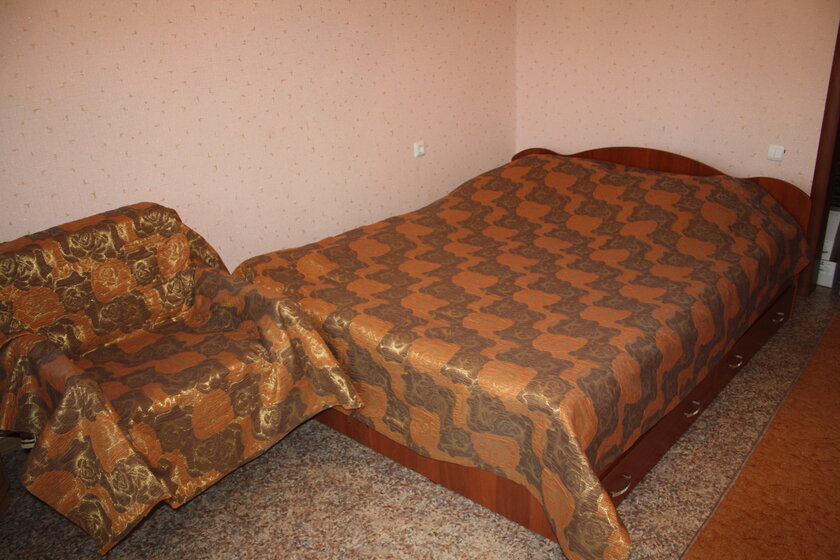 46 м², 1-комнатная квартира 1 500 ₽ в сутки - изображение 22