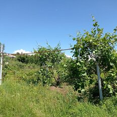 55 соток, участок - изображение 5