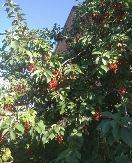 105 м² дом, 8 соток участок 4 950 000 ₽ - изображение 38