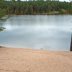 35883 м², готовый бизнес - изображение 4