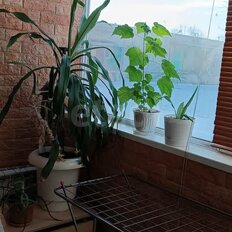 Квартира 53,7 м², 2-комнатная - изображение 4