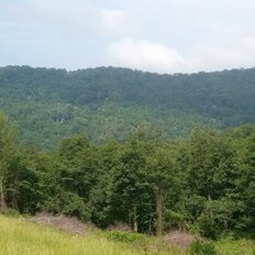 97 соток, участок - изображение 3