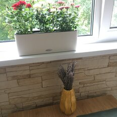 Квартира 46 м², 2-комнатная - изображение 5