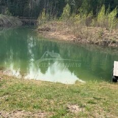 33 сотки, участок - изображение 4