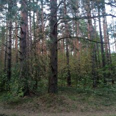 10 соток, участок - изображение 4