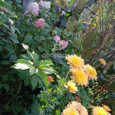 дом + 5,9 сотки, участок - изображение 4