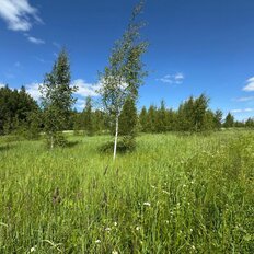 8 соток, участок - изображение 5